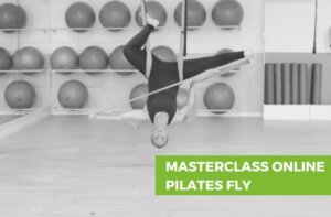 Pilates Fly